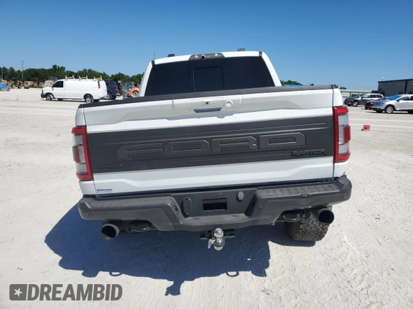 2023 Ford F-150 Raptor with VIN 1FTFW1RG1PFB24123, listed as a Copart auction lot 49594495 with 24,175 mi miles and Salvage Title. Bid and sale history available at DreamBid. Image 6.