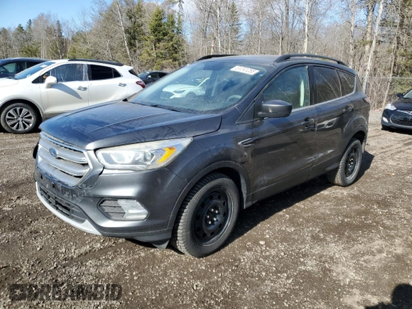2017 Ford Escape SE with VIN 1FMCU0GD3HUD61572, listed as a Copart auction lot 51241255 with 215,193 mi miles and Clean Title. Bid and sale history available at carsss.com. Image 1.