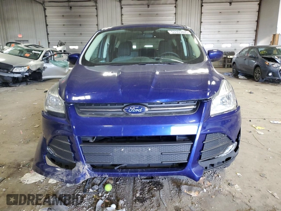 2014 Ford Escape SE with VIN 1FMCU0GX0EUA67469, listed as a Copart auction lot 53303485 with 113,111 mi miles and Clean Title. Bid and sale history available at DreamBid. Image 5.