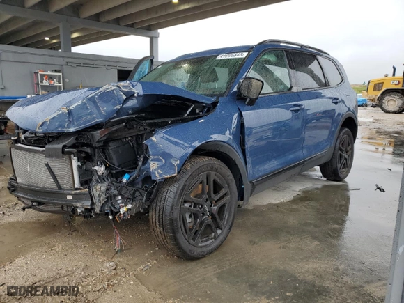 2024 Kia Telluride SX Prestige X-Line with VIN 5XYP5DGC6RG544498, listed as a Copart auction lot 41906845 with 0 mi miles and Non Repairable. Bid and sale history available at carsss.com. Image 1.
