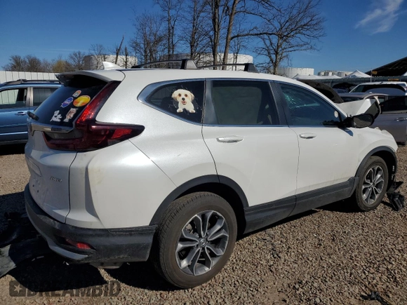 2020 Honda CR-V EX with VIN 2HKRW2H55LH692927, listed as a Copart auction lot 53319685 with Not provided miles and Salvage title. Bid and sale history available at DreamBid. Image 3.