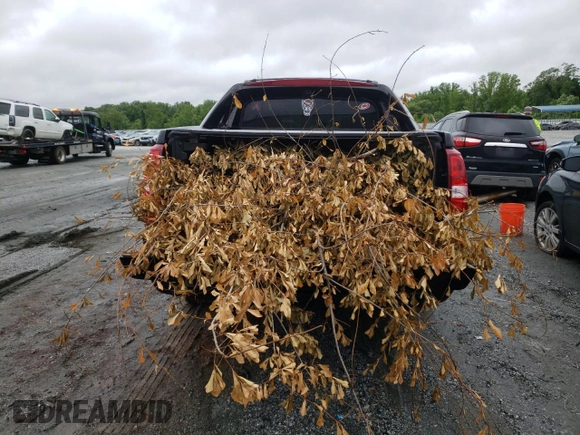2013 Chevrolet Avalanche LTZ z VIN 3GNMCGE04DG340593, wystawiony jako Copart lot #57984385 z przebiegiem 169 702 mil mil oraz Szkoda całkowita • Salvage title. Historia ofert i sprzedaży dostępna na DreamBid. Obrazek 6.
