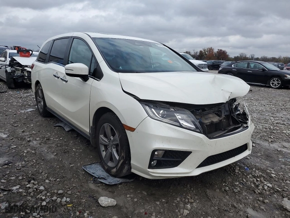 2018 Honda Odyssey EX-L with VIN 5FNRL6H72JB047245, listed as a Copart auction lot 80750924 with 0 miles and Salvage Title. Bid and sale history available at carsss.com. Image 4.