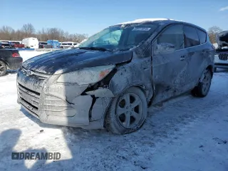 2013 Ford Escape SE with VIN 1FMCU0GX0DUD14925, listed as a Copart auction lot 89111075 with 153,194 mi miles and Salvage Title. Bid and sale history available at carsss.com. Image 1.