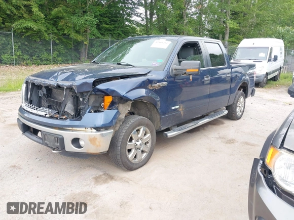 2013 Ford F-150 XL with VIN 1FTFW1ET0DFB16965, listed as a IAAI auction lot 42503215 with 194,637 mi miles and . Bid and sale history available at DreamBid. Image 17.