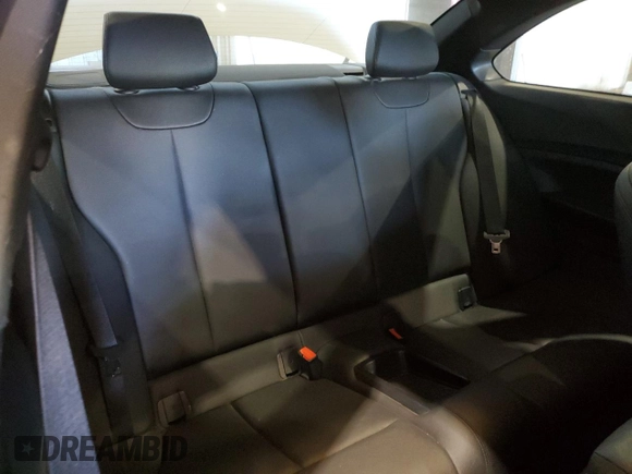 2016 BMW 2 Series 228i with VIN WBA1F9C58GV545002, listed as a Copart auction lot 42129794 with 110,846 mi miles. Bid and sale history available at carsss.com. Image 10.