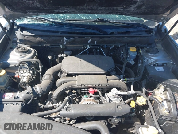 2010 Subaru Outback Premium All-Weather Anniversary with VIN 4S4BRBFC4A3320591, listed as a IAAI auction lot 42310419 with 223,607 mi miles and . Bid and sale history available at DreamBid. Image 10.