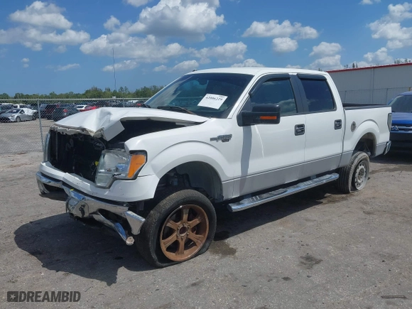 2010 Ford F-150 XL with VIN 1FTEW1C80AFD39898, listed as a IAAI auction lot 42006229 with 191,286 mi miles. Bid and sale history available at carsss.com. Image 17.