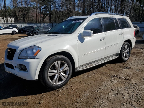 2011 Mercedes-Benz GL-Class GL 450 with VIN 4JGBF7BE5BA756389, listed as a Copart auction lot 48602155 with 125,854 mi miles and Salvage Title. Bid and sale history available at carsss.com. Image 1.