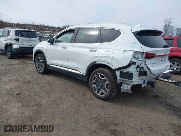 2023 Hyundai Santa Fe Limited with VIN 5NMS4DAL0PH497767, listed as a IAAI auction lot 41578381 with 31,011 mi miles and . Bid and sale history available at DreamBid. Image 3.