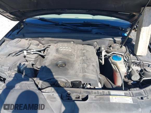 2010 Audi A4 Premium with VIN WAUAFAFLXAN057236, listed as a IAAI auction lot 41903746 with 170,432 mi miles and . Bid and sale history available at DreamBid. Image 10.