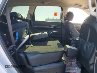 2022 Kia Telluride LX with VIN 5XYP2DHC1NG252839, listed as a Copart auction lot 47855235 with 38,819 mi miles and Salvage Title. Bid and sale history available at DreamBid. Image 11.