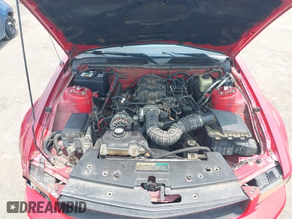2007 Ford Mustang Deluxe с VIN 1ZVFT84N675212224, выставлен на аукционе IAAI как лот 42410643 с пробегом Не указан миль и . История ставок и продаж доступна на DreamBid. Изображение 10.