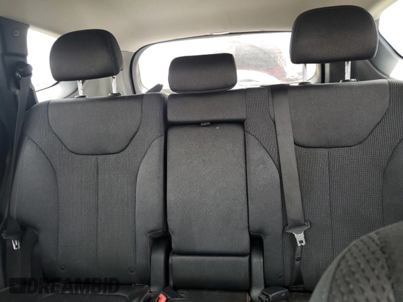 2020 Hyundai Santa Fe SE with VIN 5NMS2CAD2LH229290, listed as a Copart auction lot 49957075 with 97,938 mi miles and Salvage Title. Bid and sale history available at DreamBid. Image 10.