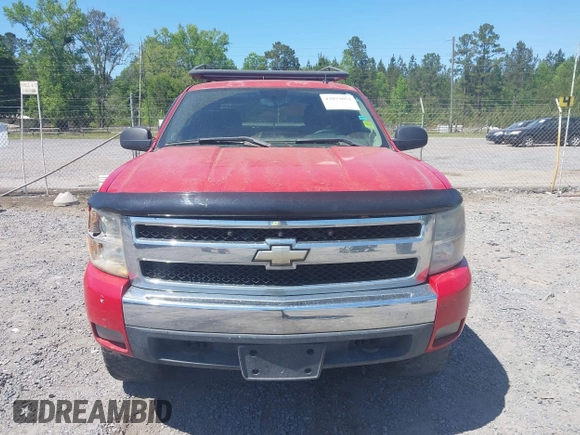 2008 Chevrolet Silverado 1500 Work Truck with VIN 2GCEC13C981113504, listed as a IAAI auction lot 42052052 with 290,072 mi miles and . Bid and sale history available at DreamBid. Image 12.