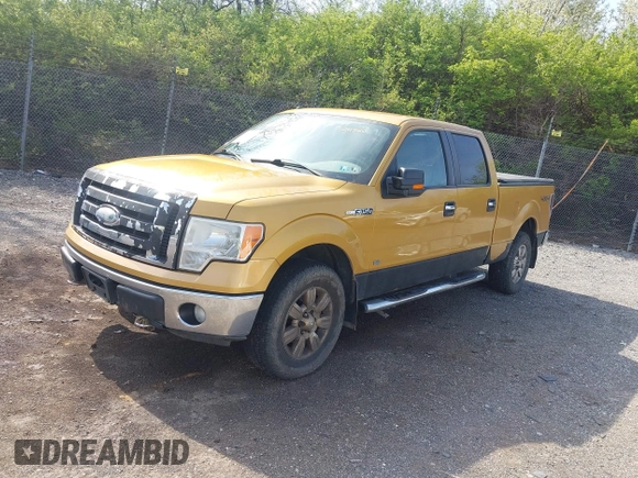2009 Ford F-150 XL with VIN 1FTPW14V49KC41926, listed as a IAAI auction lot 42010884 with 132,529 mi miles. Bid and sale history available at carsss.com. Image 2.