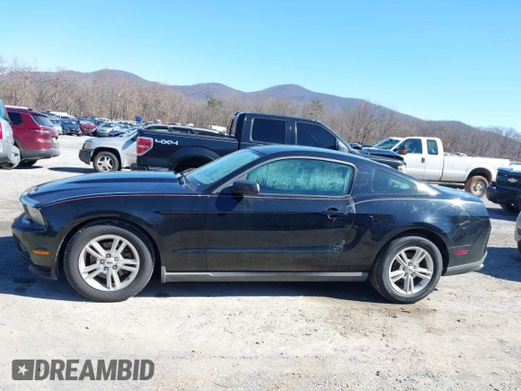 2011 Ford Mustang V6 with VIN 1ZVBP8AM2B5153163, listed as a IAAI auction lot 41645917 with 286,609 mi miles and . Bid and sale history available at carsss.com. Image 15.