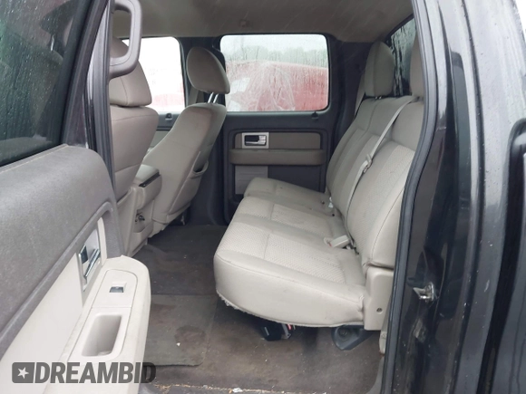 2010 Ford F-150 XL with VIN 1FTEW1E84AFA54957, listed as a IAAI auction lot 42456388 with 197,370 mi miles and . Bid and sale history available at DreamBid. Image 8.