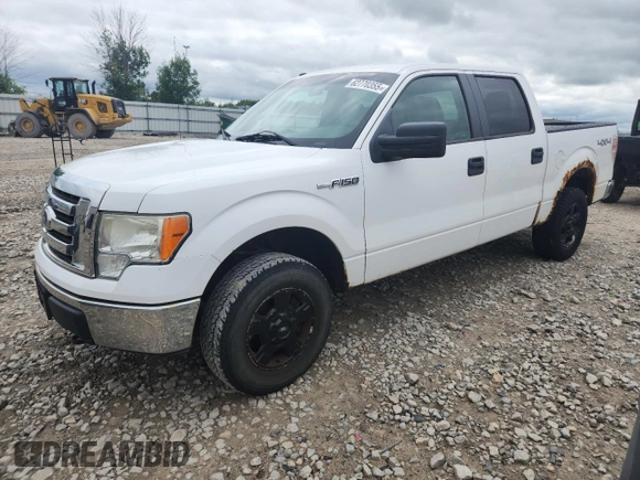 2010 Ford F-150 XL with VIN 1FTEW1E80AFA10938, listed as a Copart auction lot 62770355 with 243,947 mi miles and Clean title. Bid and sale history available at DreamBid. Image 1.