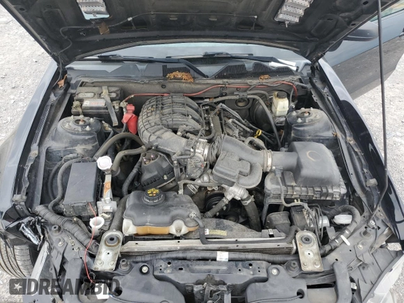 2014 Ford Mustang V6 с VIN 1ZVBP8AM5E5244674, выставлен на аукционе Copart как лот 60330545 с пробегом 148 337 миль миль и Списание • Salvage title. История ставок и продаж доступна на DreamBid. Изображение 11.