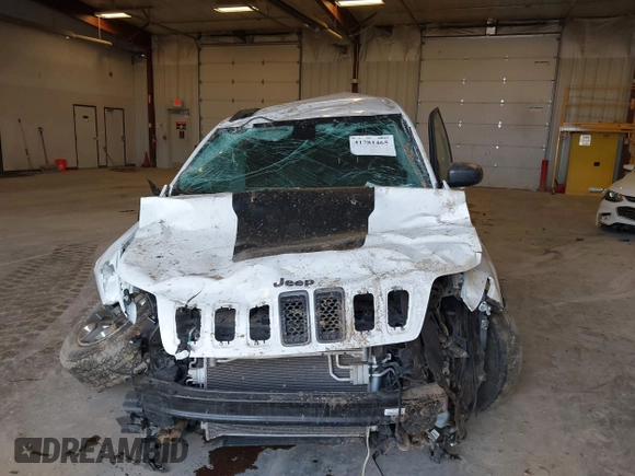 2019 Jeep Cherokee Trailhawk with VIN 1C4PJMBX1KD200300, listed as a IAAI auction lot 41781465 with Not Provided miles and . Bid and sale history available at DreamBid. Image 12.