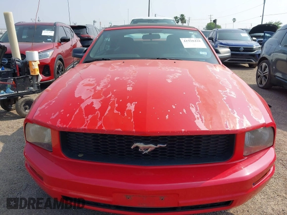 2005 Ford Mustang Deluxe with VIN 1ZVFT84N055191982, listed as a IAAI auction lot 41928428 with 94,495 mi miles. Bid and sale history available at carsss.com. Image 12.