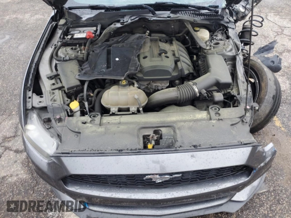 2015 Ford Mustang EcoBoost with VIN 1FA6P8TH8F5395181, listed as a Copart auction lot 48570474 with Not provided miles and Salvage title. Bid and sale history available at DreamBid. Image 11.