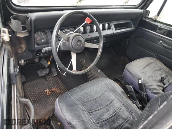 1994 Jeep Wrangler with VIN 1J4FY29S9RP422835, listed as a Copart auction lot 61365235 with 183,566 mi miles and Clean title. Bid and sale history available at DreamBid. Image 8.