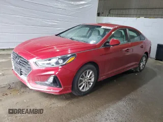 2019 Hyundai Sonata SE with VIN 5NPE24AF1KH745579, listed as a Copart auction lot 47007445 with 48,980 mi miles and Salvage Title. Bid and sale history available at carsss.com. Image 1.