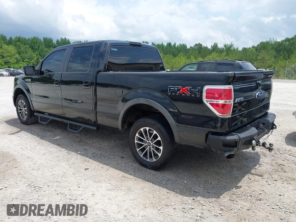 2009 Ford F-150 XL z VIN 1FTPW14V09FA38282, wystawiony jako IAAI lot #42318185 z przebiegiem 214 774 mil mil oraz . Historia ofert i sprzedaży dostępna na DreamBid. Obrazek 3.