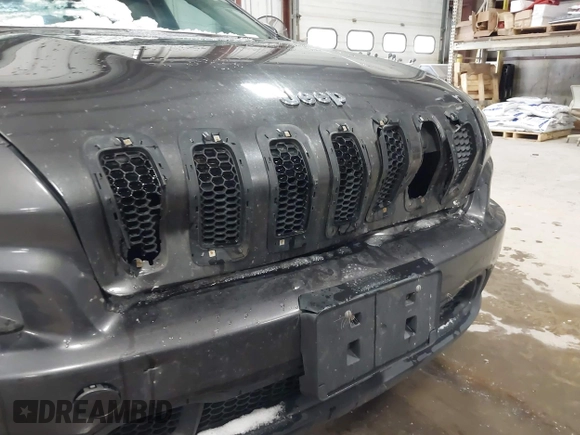 2014 Jeep Cherokee Latitude with VIN 1C4PJMCS0EW213826, listed as a IAAI auction lot 41322537 with 272,659 mi miles and . Bid and sale history available at DreamBid. Image 6.