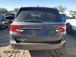 2024 Honda Odyssey EX-L with VIN 5FNRL6H69RB069598, listed as a Copart auction lot 81798314 with Not Provided miles and Salvage Title. Bid and sale history available at DreamBid. Image 6.