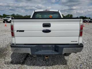 2011 Ford F-150 XL with VIN 1FTFX1EFXBKD38263, listed as a Copart auction lot 55781605 with 260,213 mi miles and Salvage title. Bid and sale history available at DreamBid. Image 6.