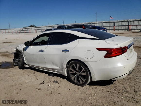 2017 Nissan Maxima Platinum with VIN 1N4AA6APXHC413205, listed as a Copart auction lot 43948945 with 0 mi miles and Salvage Title. Bid and sale history available at carsss.com. Image 2.