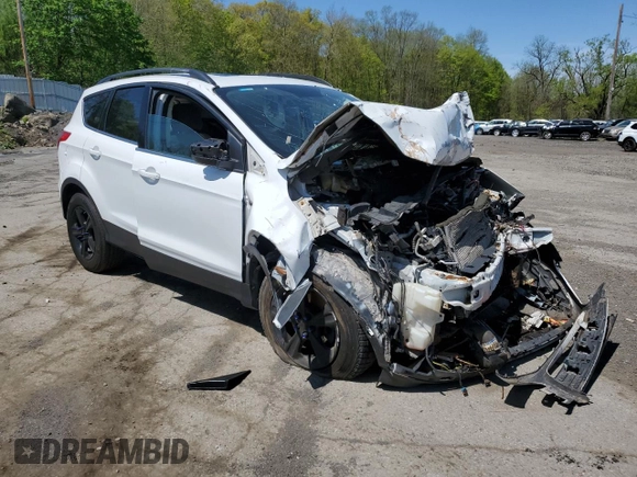 2014 Ford Escape SE with VIN 1FMCU9G98EUD26277, listed as a Copart auction lot 54953985 with Not provided miles and Salvage title. Bid and sale history available at DreamBid. Image 4.