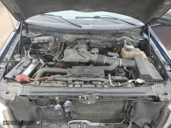 2010 Ford F-150 XL with VIN 1FTFW1EV7AKA74105, listed as a Copart auction lot 50515185 with 0 mi miles and Salvage Title. Bid and sale history available at carsss.com. Image 13.