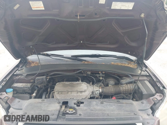 2007 Honda Pilot EX-L with VIN 2HKYF18597H513543, listed as a IAAI auction lot 42509483 with 201,778 mi miles and . Bid and sale history available at DreamBid. Image 10.