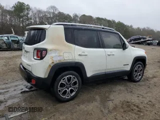 2015 Jeep Renegade Limited with VIN ZACCJBDT6FPC22927, listed as a Copart auction lot 42836765 with 142,787 mi miles and Salvage Title. Bid and sale history available at DreamBid. Image 3.