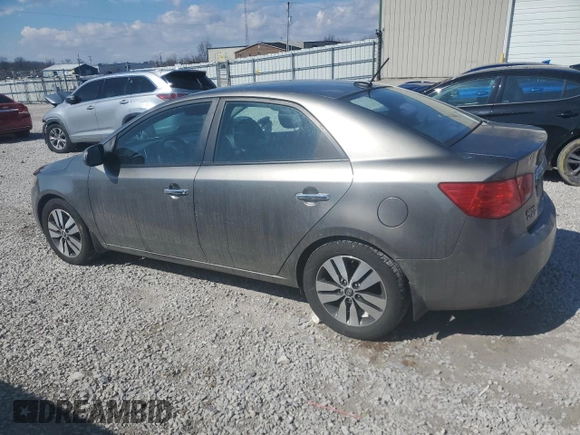 2013 Kia Forte EX with VIN KNAFU4A25D5672809, listed as a Copart auction lot 46978785 with 175,173 mi miles and Salvage Title. Bid and sale history available at carsss.com. Image 2.