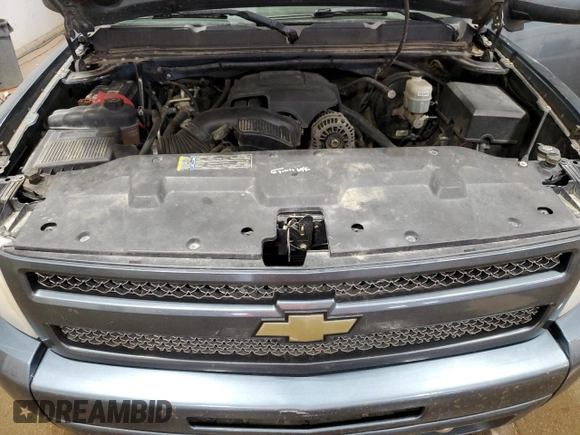 2009 Chevrolet Silverado 1500 LT with VIN 3GCEK23399G259659, listed as a Copart auction lot 52242235 with 176,907 mi miles and Clean Title. Bid and sale history available at DreamBid. Image 11.