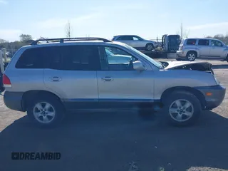 2006 Hyundai Santa Fe GLS with VIN KM8SC13D96U071585, listed as a IAAI auction lot 42005602 with 195,143 mi miles. Bid and sale history available at carsss.com. Image 12.