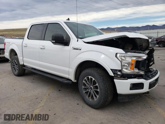 2019 Ford F-150 XL with VIN 1FTEW1E4XKKE81484, listed as a Copart auction lot 49852825 with 82,035 mi miles and Salvage Title. Bid and sale history available at carsss.com. Image 4.