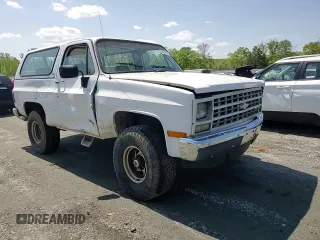 1990 Chevrolet Blazer z VIN 1GNEV18K5LF144221, wystawiony jako Copart lot #52296175 z przebiegiem 114 593 mil mil oraz Szkoda całkowita • Salvage title. Historia ofert i sprzedaży dostępna na DreamBid. Obrazek 11.