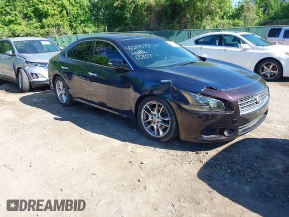 2010 Nissan Maxima 3.5 SV with VIN 1N4AA5AP6AC818249, listed as a IAAI auction lot 42217577 with 178,330 mi miles. Bid and sale history available at carsss.com. Image 1.