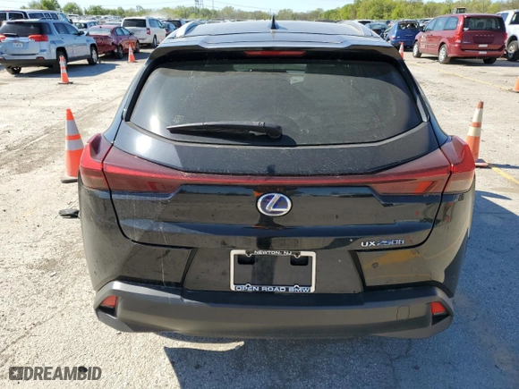 2019 Lexus UX with VIN JTHU9JBH0K2011084, listed as a Copart auction lot 50531643 with 40,029 mi miles. Bid and sale history available at carsss.com. Image 6.