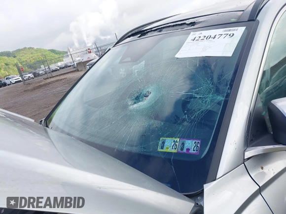 2024 Hyundai Tucson Limited with VIN 5NMJECDE1RH363885, listed as a IAAI auction lot 42204779 with 141,146 mi miles and . Bid and sale history available at DreamBid. Image 6.