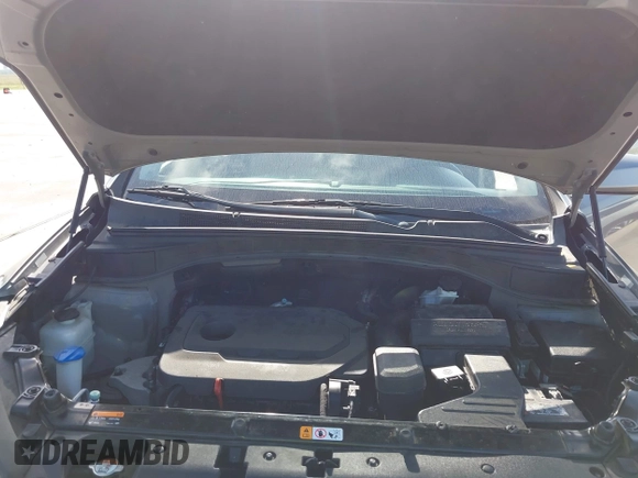 2017 Hyundai Santa Fe 2.4L z VIN 5XYZTDLB7HG444033, wystawiony jako IAAI lot #42263907 z przebiegiem 107 454 mil mil oraz . Historia ofert i sprzedaży dostępna na DreamBid. Obrazek 10.