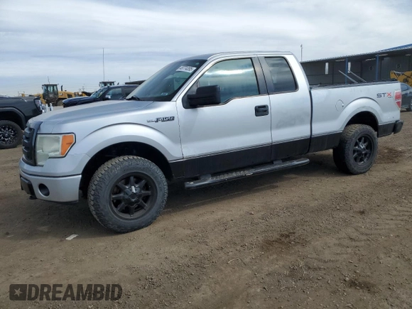 2010 Ford F-150 XL with VIN 1FTEX1EW1AFA91959, listed as a Copart auction lot 48774095 with 308,100 mi miles and Salvage Title. Bid and sale history available at carsss.com. Image 1.