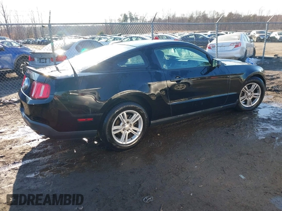 2011 Ford Mustang V6 with VIN 1ZVBP8AM9B5134934, listed as a IAAI auction lot 41417021 with 67,413 mi miles and . Bid and sale history available at carsss.com. Image 13.