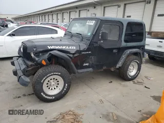2002 Jeep Wrangler SE with VIN 1J4FA29P22P736588, listed as a Copart auction lot 80266744 with 175,797 mi miles and Salvage Title. Bid and sale history available at carsss.com. Image 1.